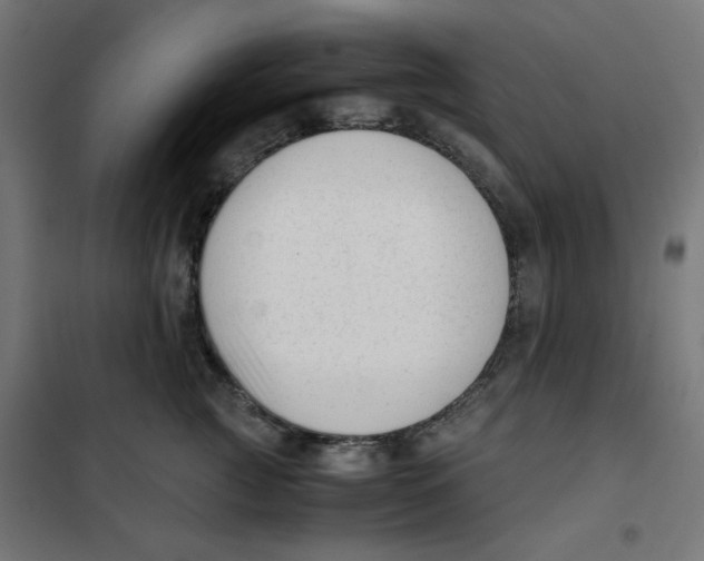 X0000101660761200808071021