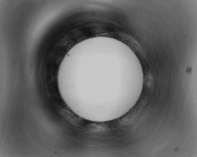 X0000101660763200808071021