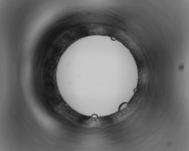 X0000101660764200808071021