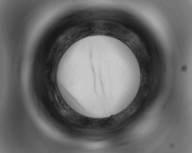 X0000101660765200808071021