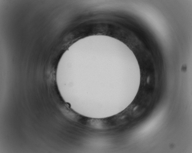 X0000101660766200808071021