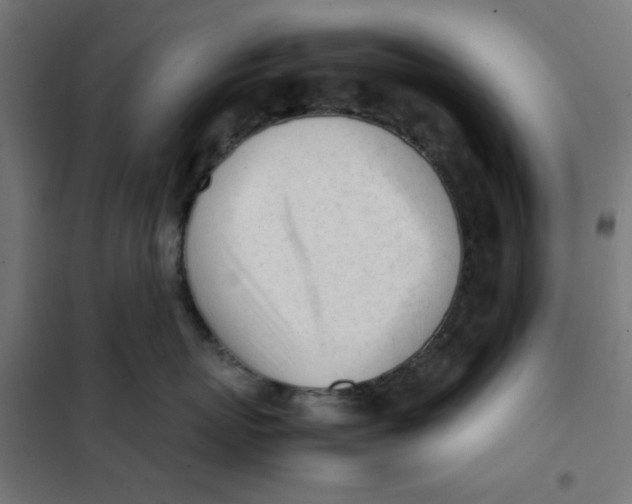 X0000101660767200808071021