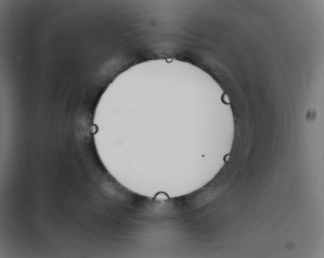 X0000101660768200808071021
