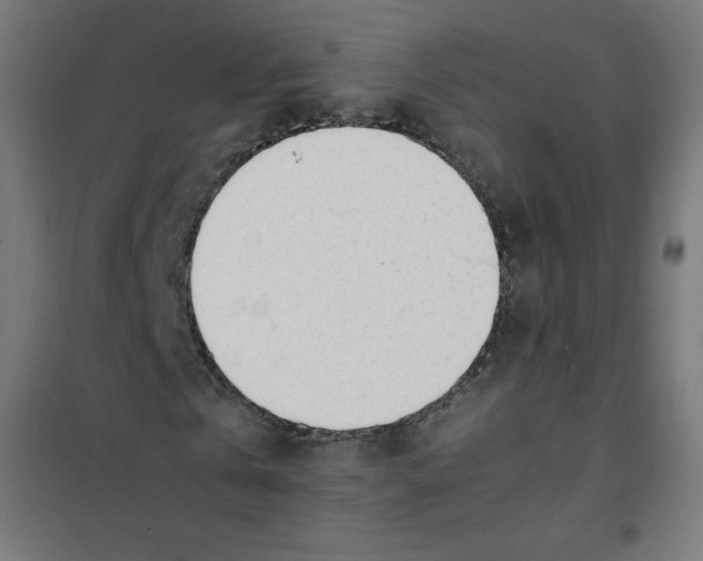 X0000101660769200808071020