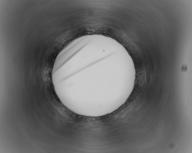 X0000101660770200808071020