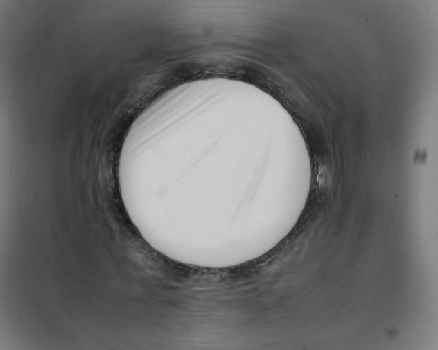 X0000101660771200808071020