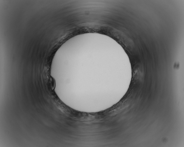 X0000101660772200808071020