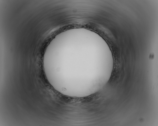 X0000101660773200808071020