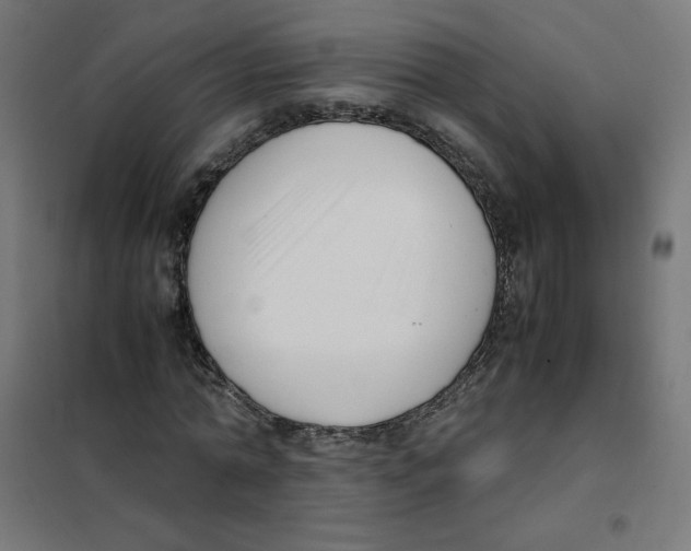 X0000101660774200808071020