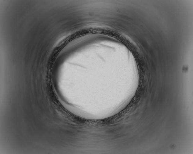 X0000101660775200808071020