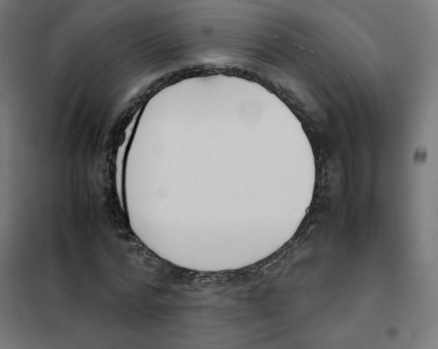 X0000101660776200808071020