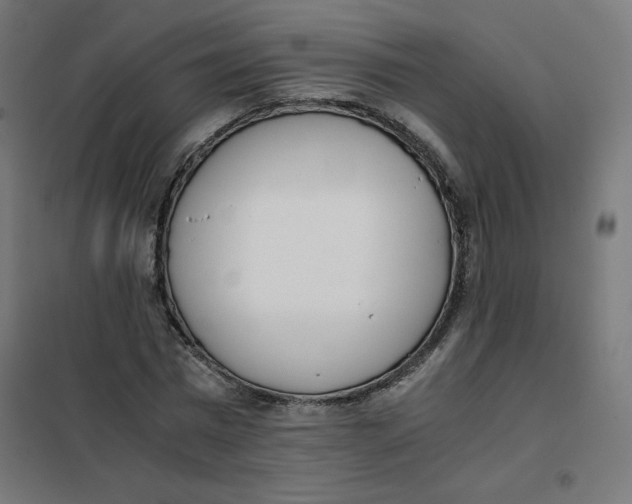 X0000101660777200808071020