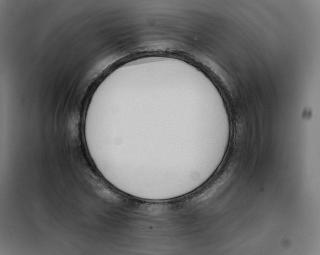 X0000101660778200808071020