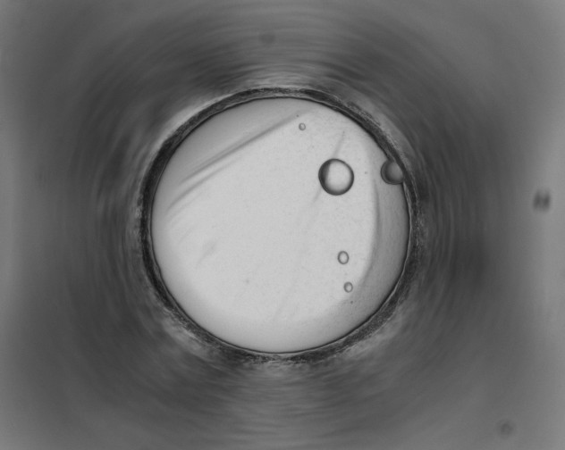 X0000101660779200808071020