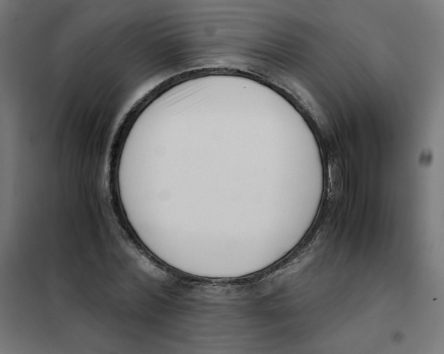 X0000101660780200808071020