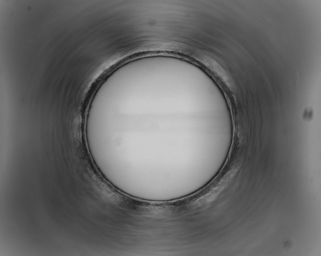 X0000101660781200808071020
