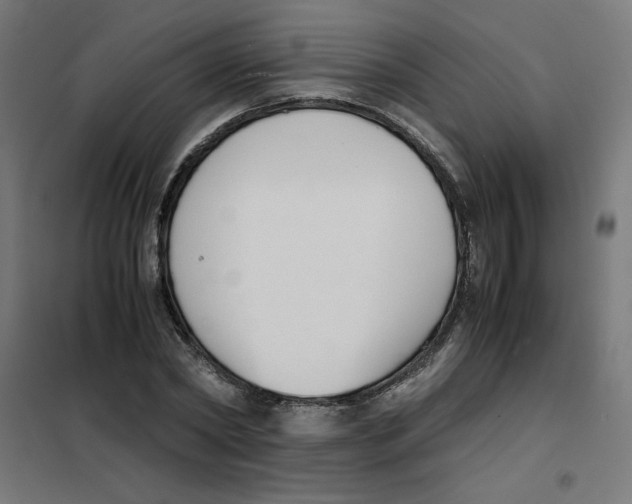 X0000101660782200808071020