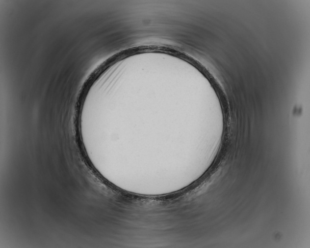 X0000101660783200808071020