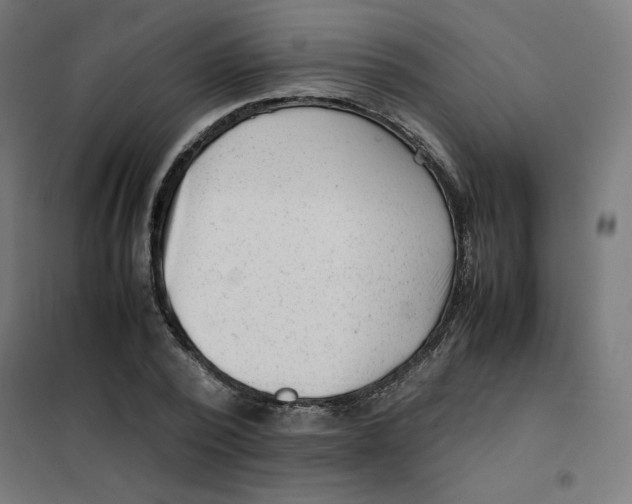 X0000101660784200808071020