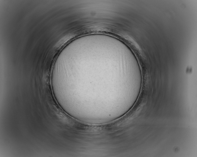 X0000101660785200808071020