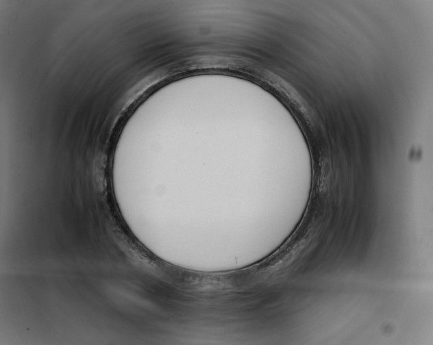 X0000101660786200808071020