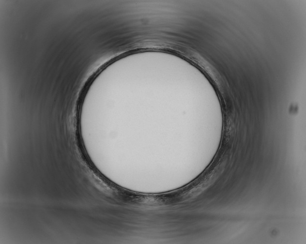 X0000101660787200808071020