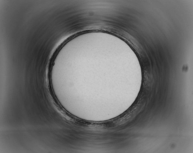 X0000101660788200808071020