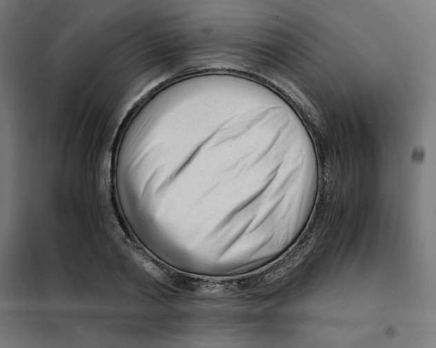 X0000101660790200808071020