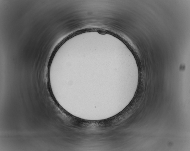 X0000101660791200808071020