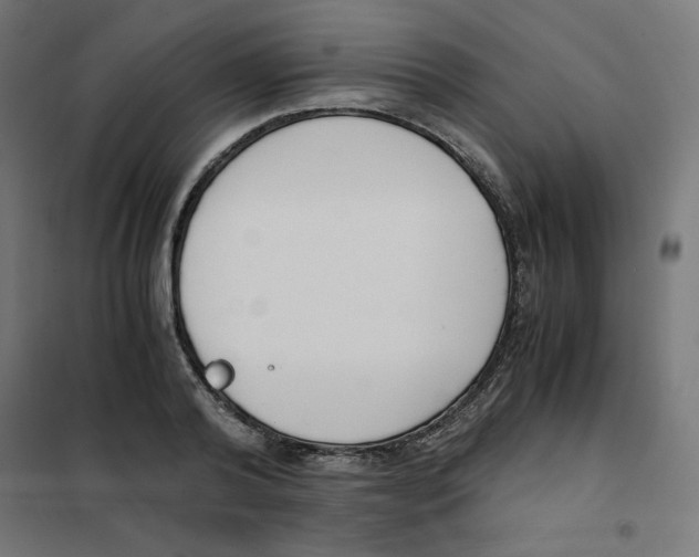 X0000101660792200808071020