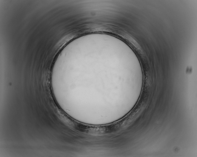 X0000101660793200808071020