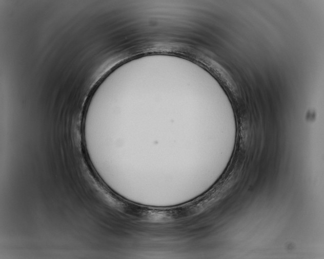 X0000101660794200808071020