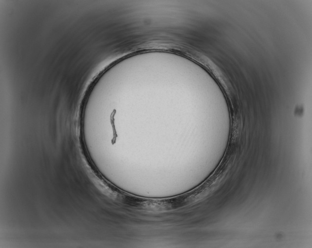 X0000101660795200808071020