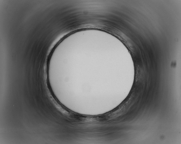 X0000101660796200808071020