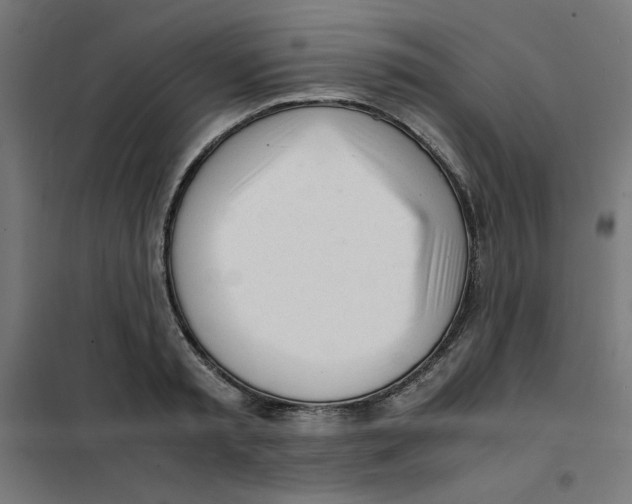 X0000101660797200808071020