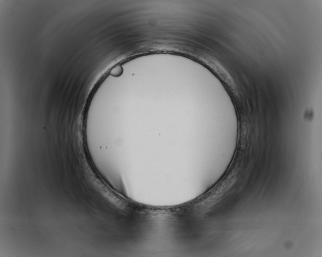 X0000101660798200808071020