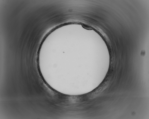 X0000101660799200808071020