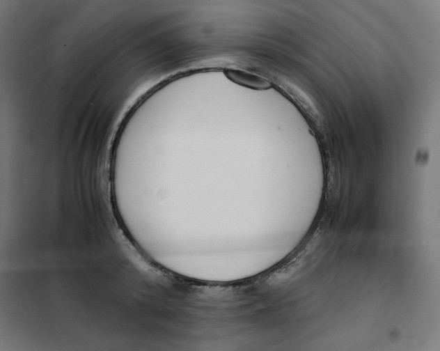 X0000101660800200808071020