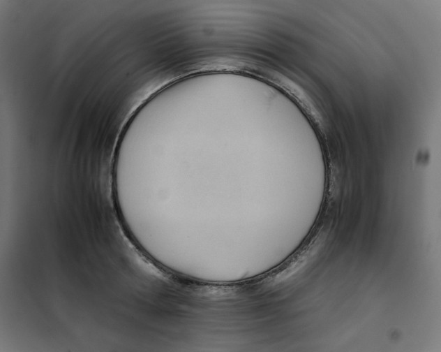 X0000101660802200808071020