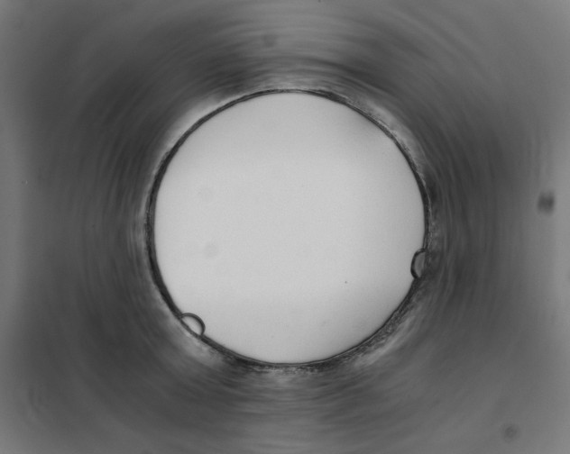 X0000101660803200808071020
