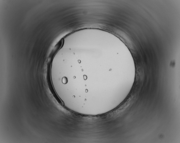 X0000101660804200808071020