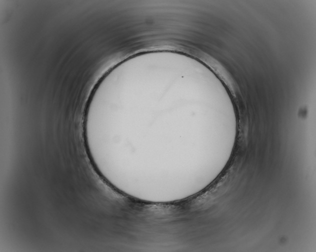 X0000101660805200808071020