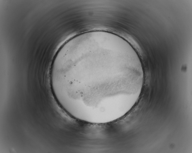 X0000101660806200808071020