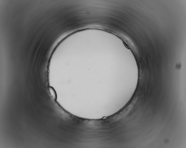 X0000101660808200808071020