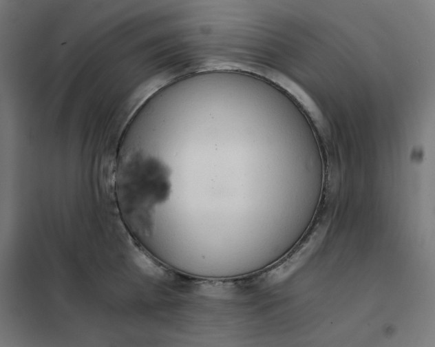 X0000101660809200808071020