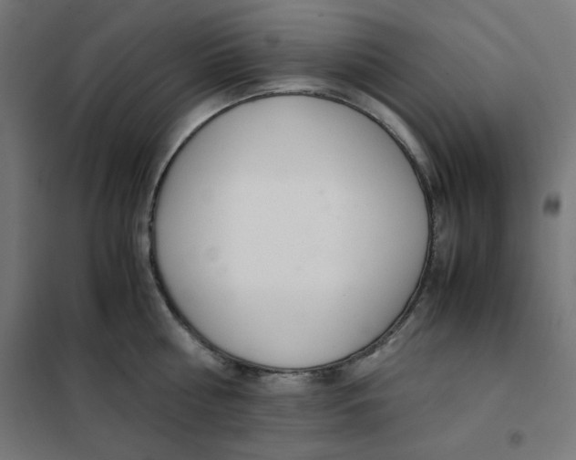 X0000101660810200808071020