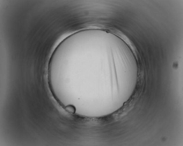 X0000101660811200808071020