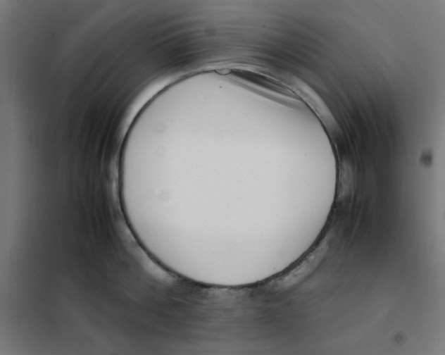 X0000101660812200808071020