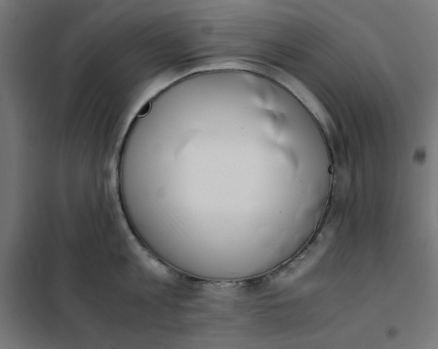X0000101660813200808071020