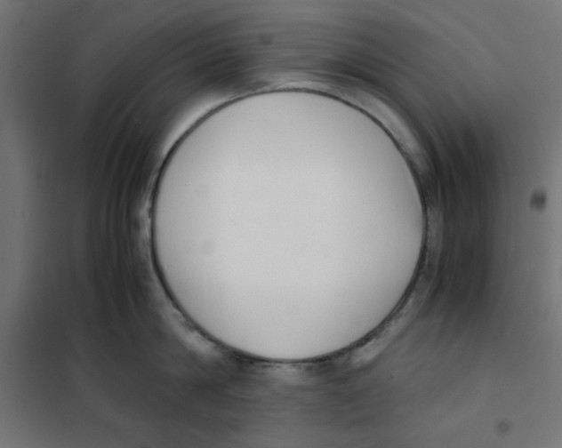 X0000101660814200808071020